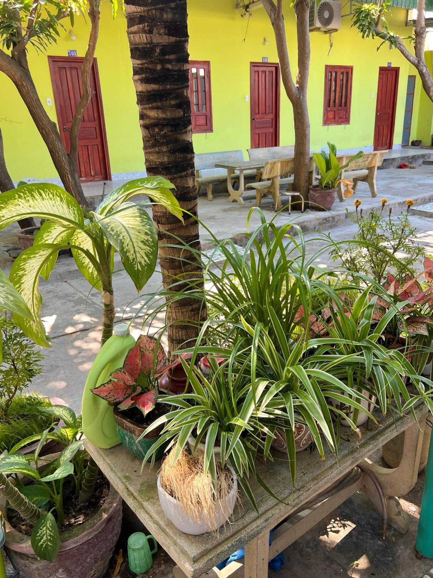 Duc Thao Guest House Mui Ne Zewnętrze zdjęcie
