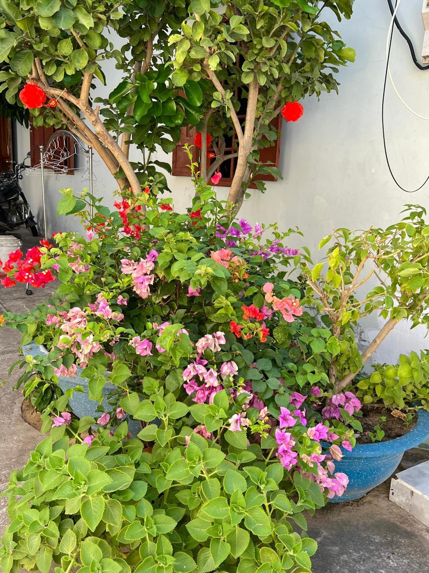 Duc Thao Guest House Mui Ne Zewnętrze zdjęcie