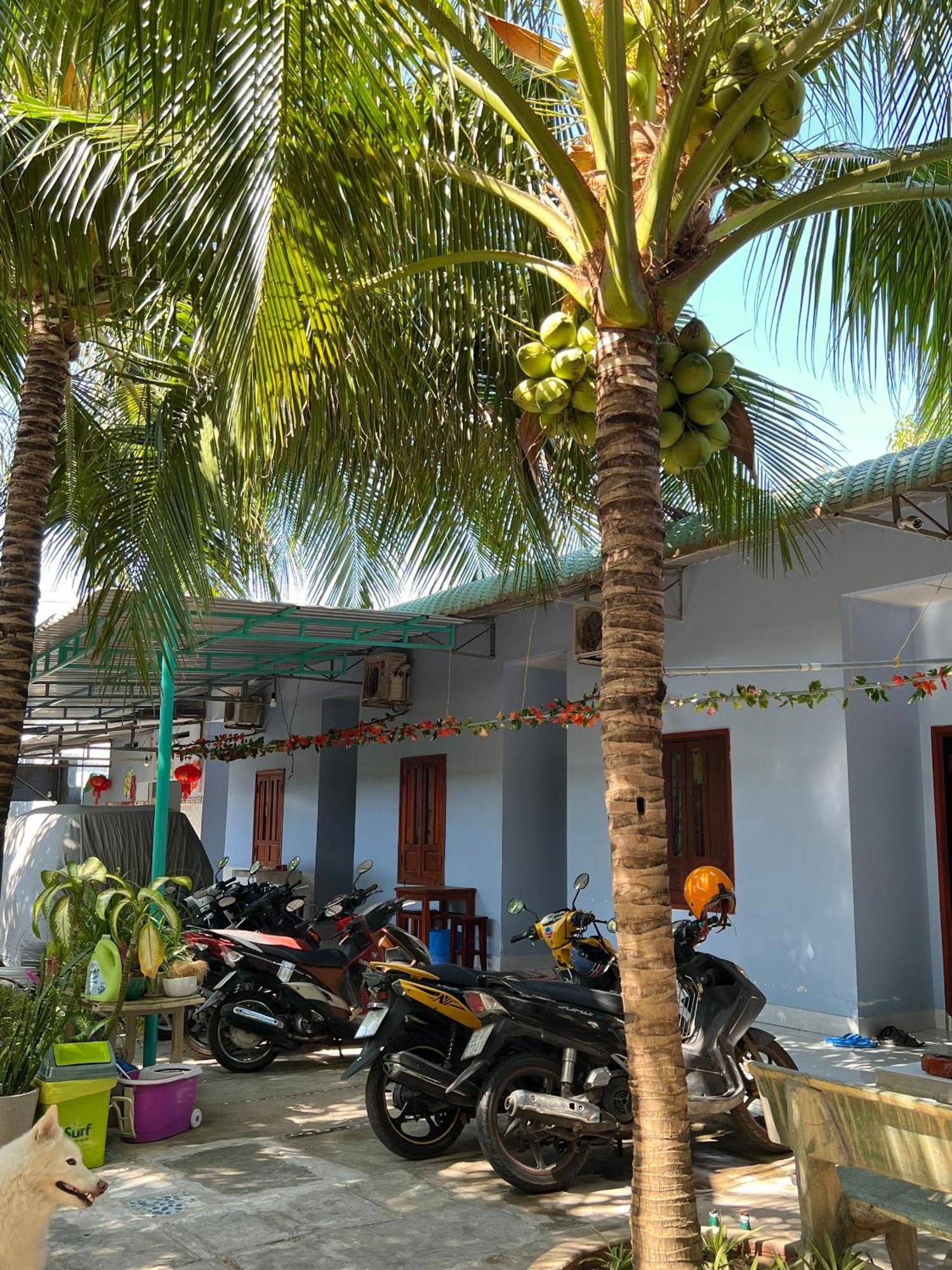 Duc Thao Guest House Mui Ne Zewnętrze zdjęcie