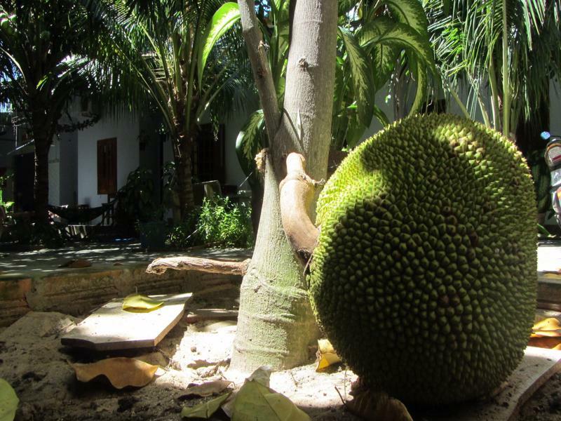 Duc Thao Guest House Mui Ne Zewnętrze zdjęcie