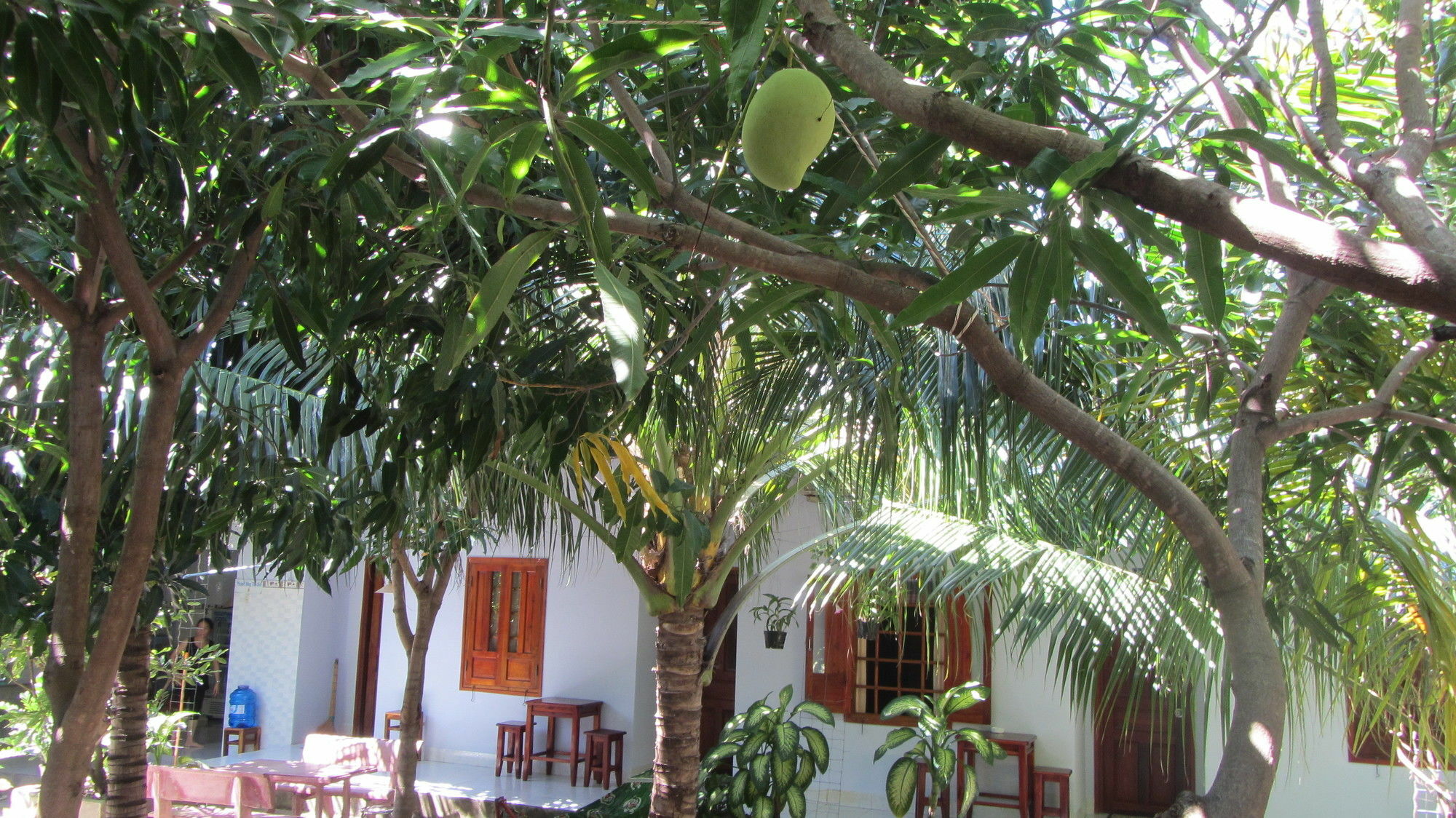 Duc Thao Guest House Mui Ne Zewnętrze zdjęcie