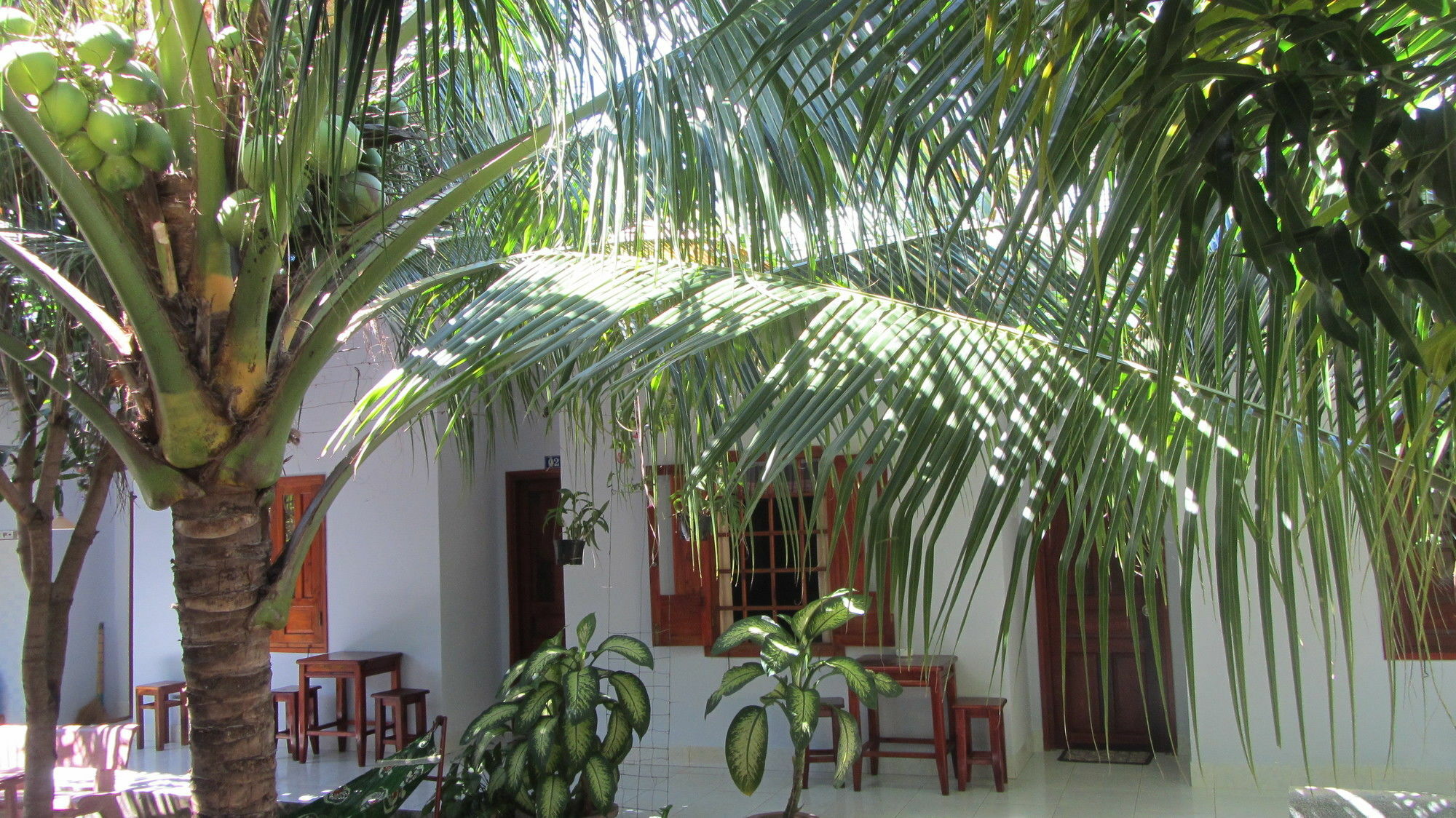 Duc Thao Guest House Mui Ne Zewnętrze zdjęcie