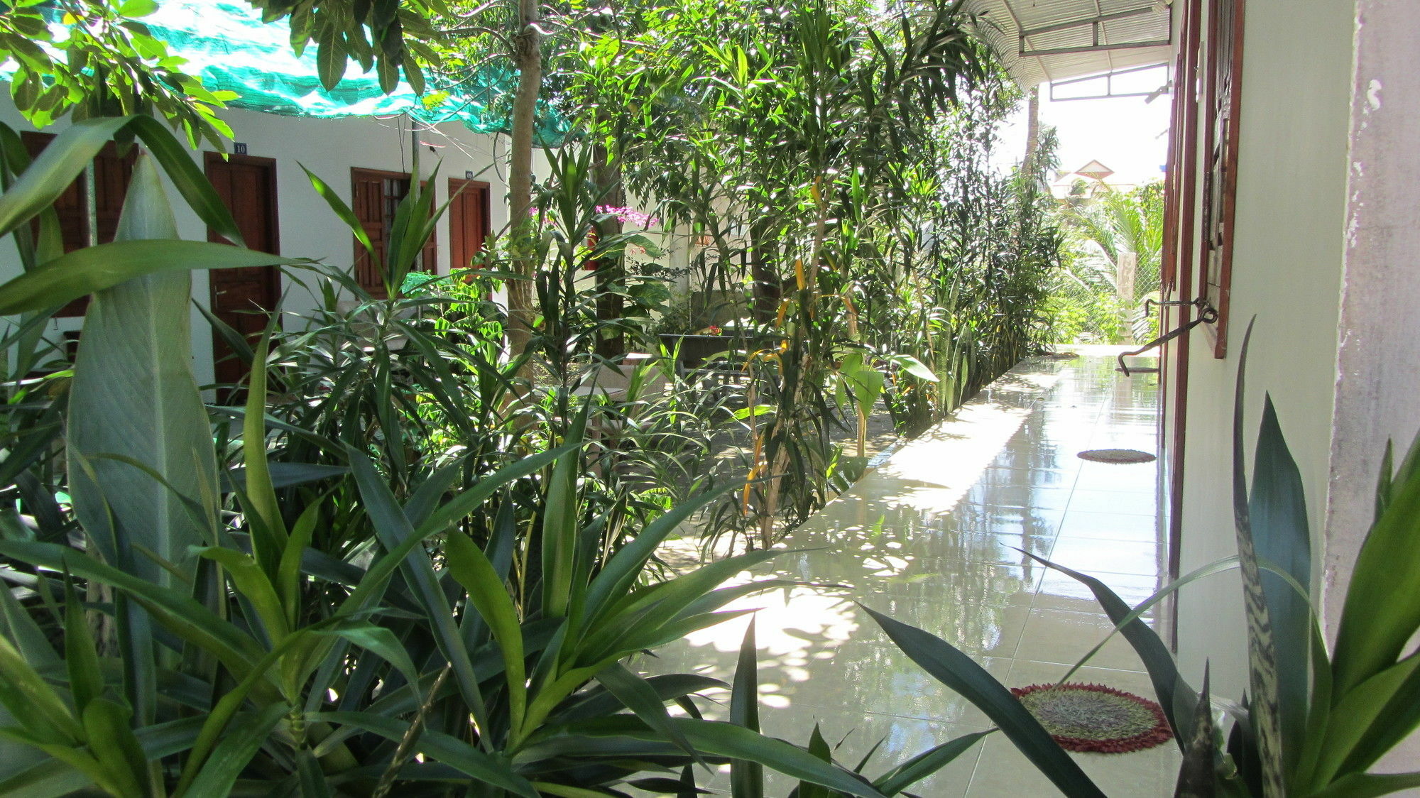 Duc Thao Guest House Mui Ne Zewnętrze zdjęcie