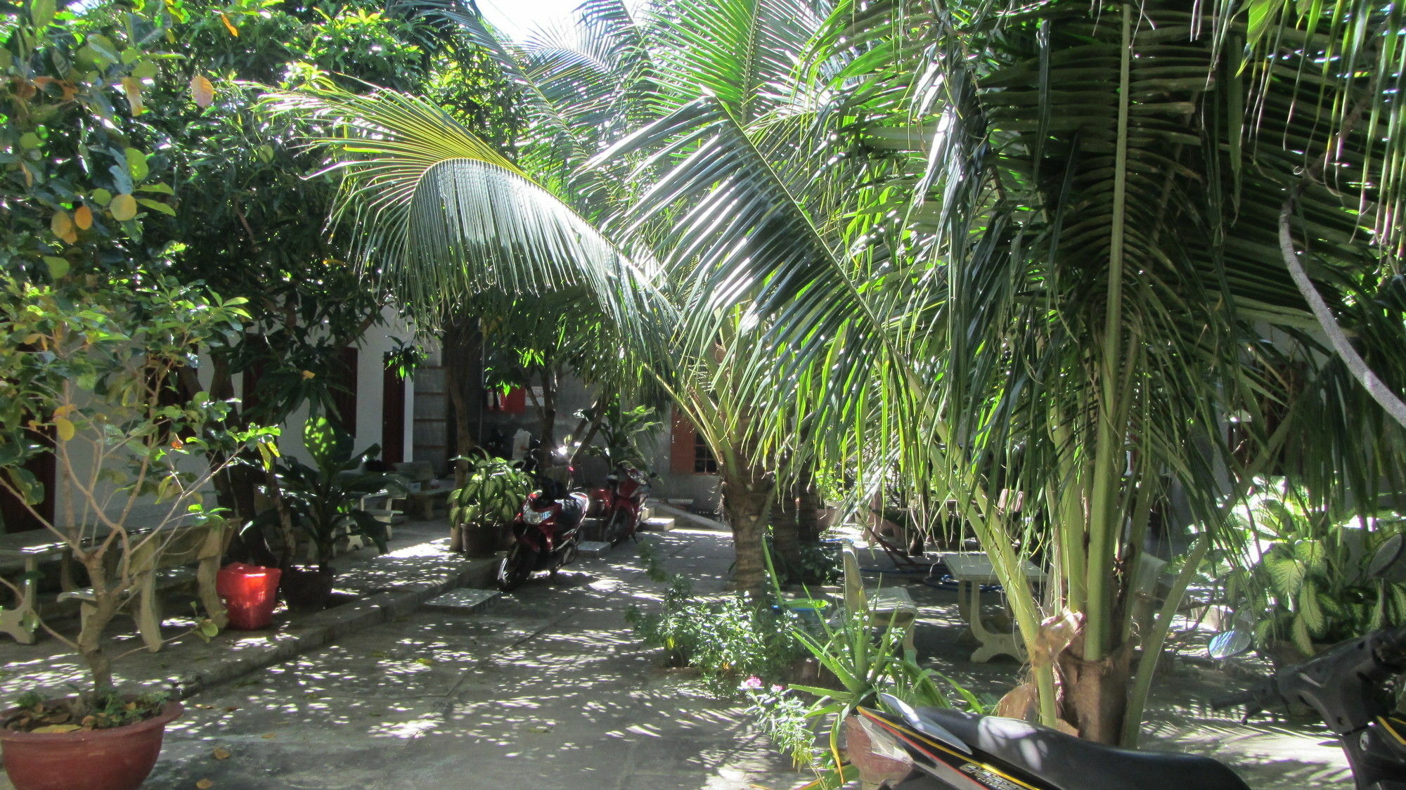 Duc Thao Guest House Mui Ne Zewnętrze zdjęcie